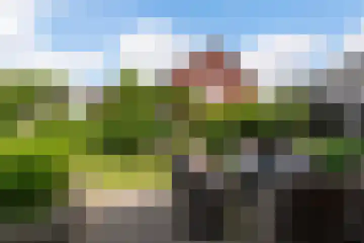 Korenbloem 12 Klarenbeek thumbnail 31