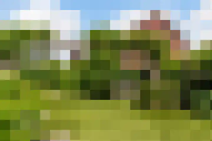 Korenbloem 12 Klarenbeek thumbnail 32
