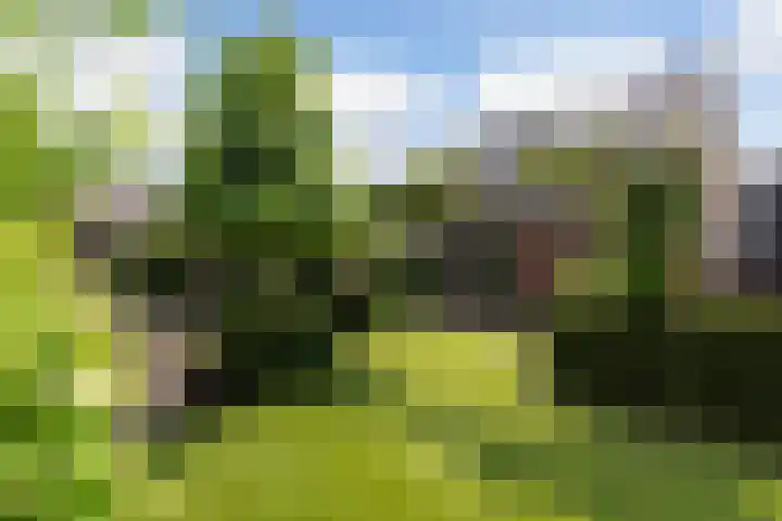 Korenbloem 12 Klarenbeek thumbnail 33