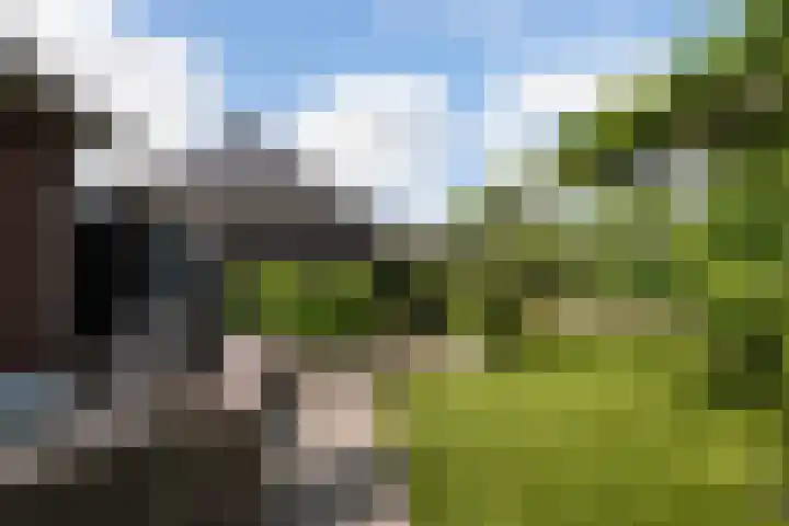 Korenbloem 12 Klarenbeek thumbnail 34
