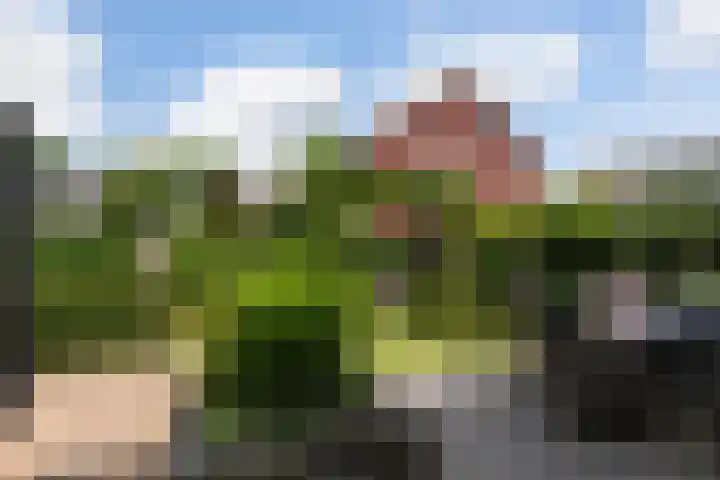 Korenbloem 12 Klarenbeek thumbnail 35