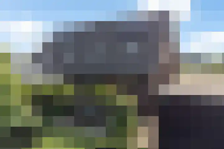 Korenbloem 12 Klarenbeek thumbnail 36