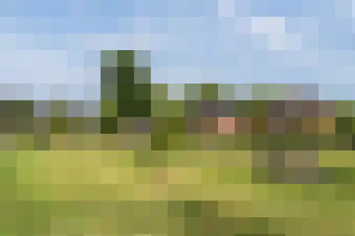 Korenbloem 12 Klarenbeek thumbnail 39