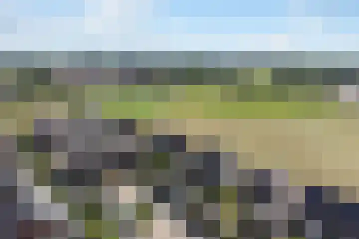 Korenbloem 12 Klarenbeek thumbnail 4