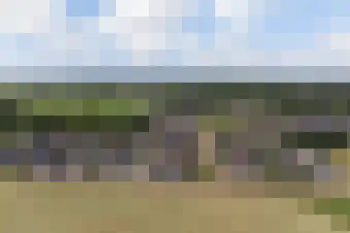 Korenbloem 12 Klarenbeek thumbnail 40