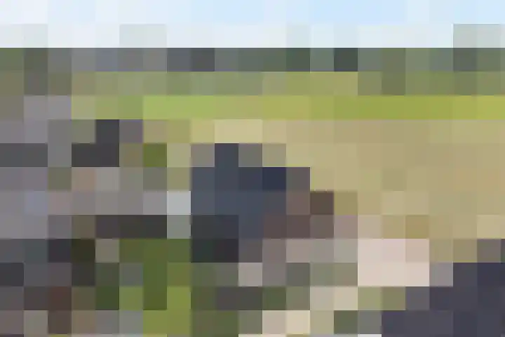 Korenbloem 12 Klarenbeek thumbnail 5