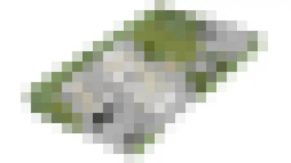Korenbloem 13 Eijsden thumbnail 43