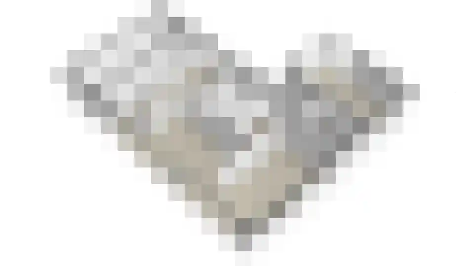 Korenbloem 13 Eijsden thumbnail 52