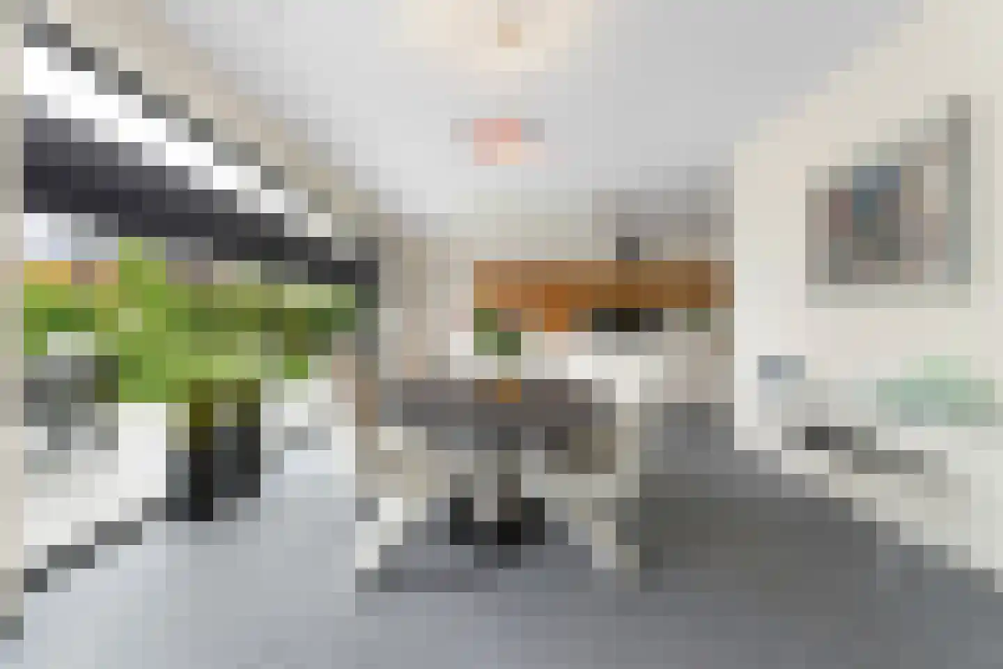 Korenbloem 13 Eijsden thumbnail 7