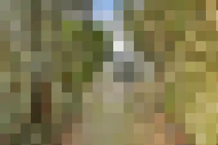Korenbloem 13 Leiden thumbnail 11