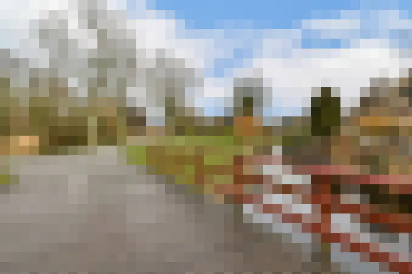 Korenbloem 13 Leiden thumbnail 23