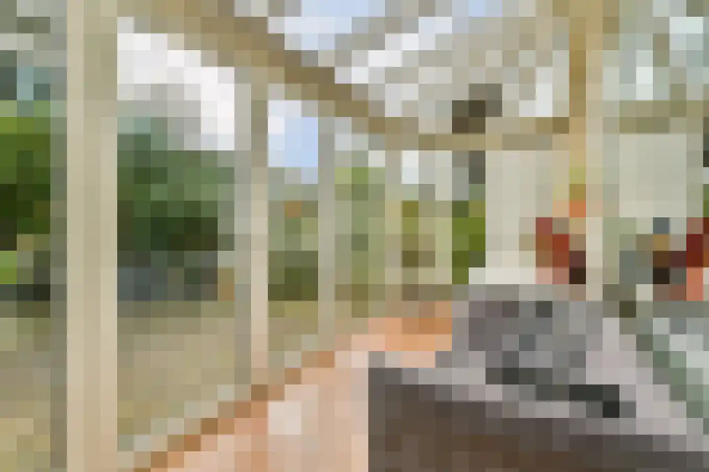 Korenbloem 13 Leiden thumbnail 8
