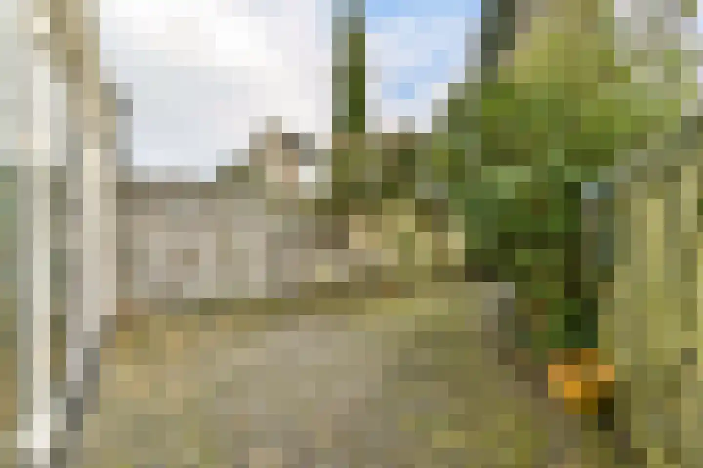 Korenbloem 13 Leiden thumbnail 9