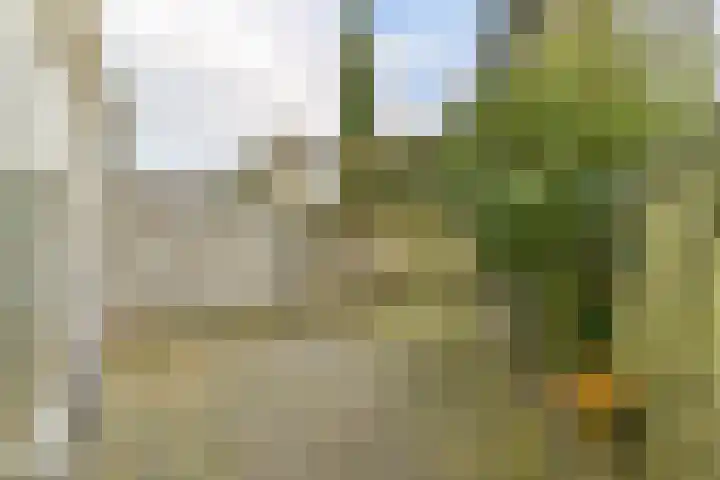 Korenbloem 13 Leiden thumbnail 9
