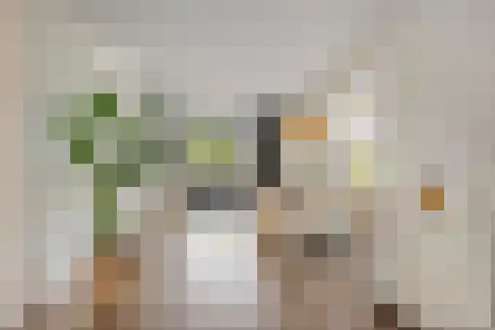 Korenbloem 13 Meppel thumbnail 11