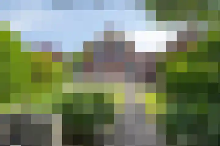 Korenbloem 13 Meppel thumbnail 33