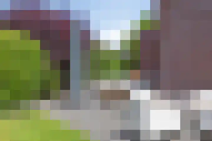 Korenbloem 13 Meppel thumbnail 34