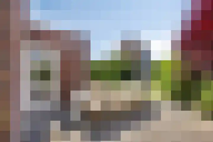 Korenbloem 13 Meppel thumbnail 35