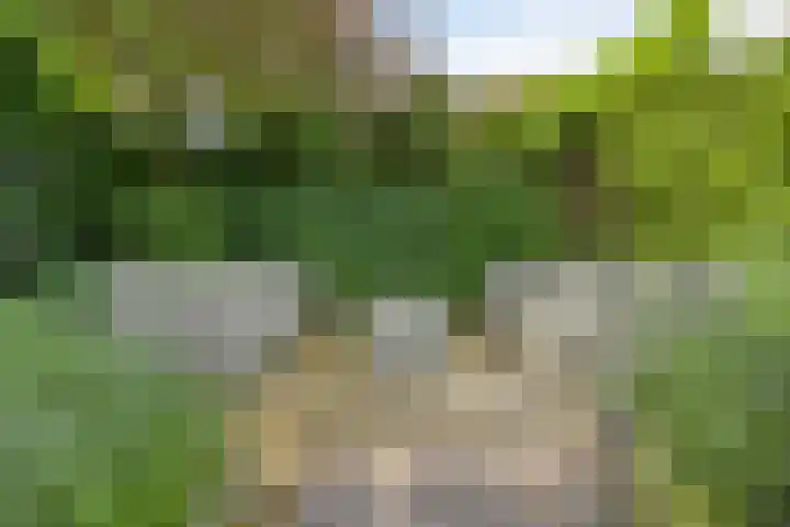 Korenbloem 13 Meppel thumbnail 39