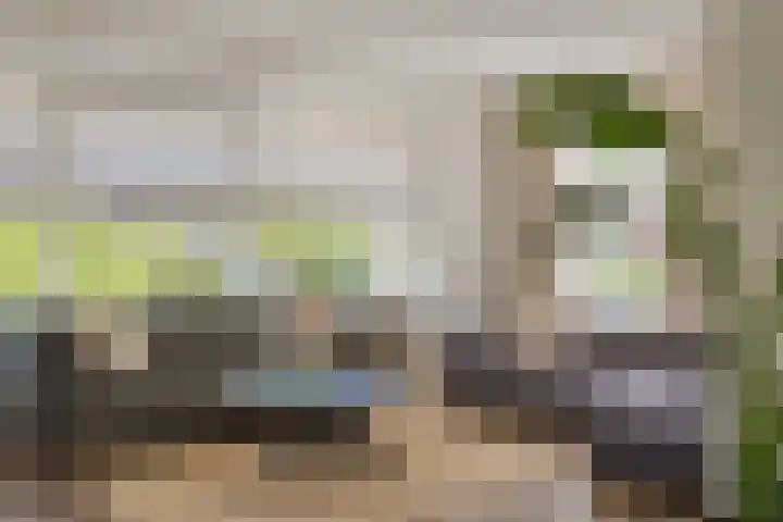 Korenbloem 13 Meppel thumbnail 8