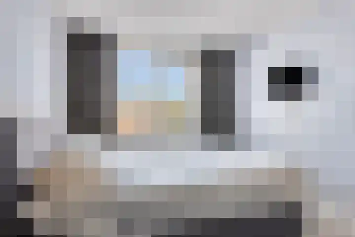 Korenbloem 14 Haaksbergen thumbnail 17