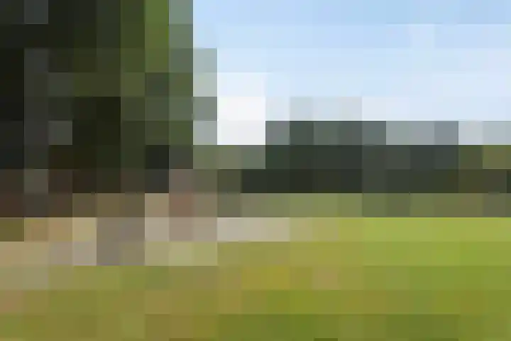 Korenbloem 14 Haaksbergen thumbnail 33
