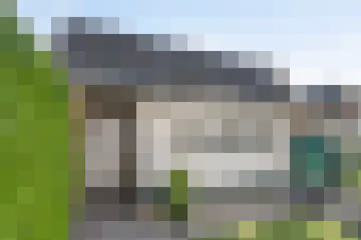 Korenbloem 14 Haaksbergen thumbnail 5