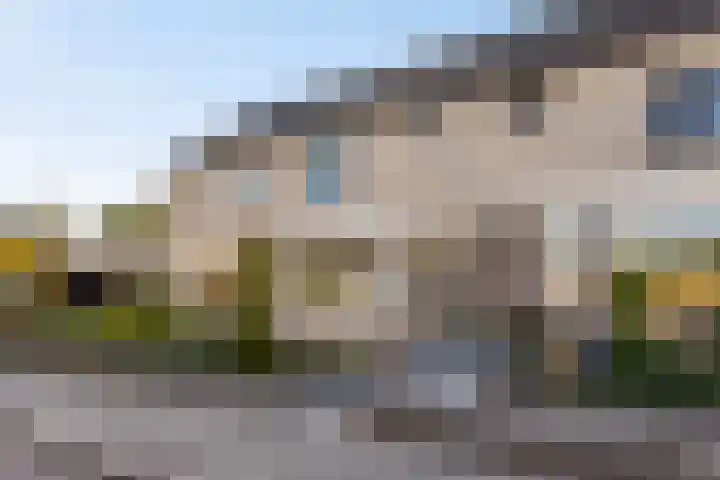 Korenbloem 14 Haaksbergen thumbnail 6
