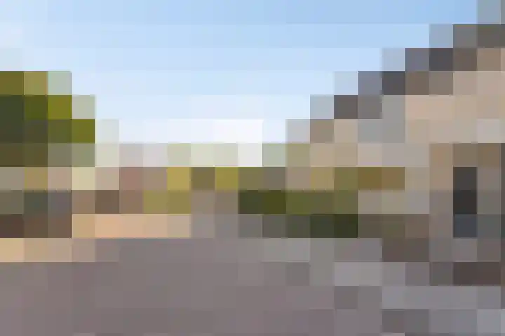 Korenbloem 14 Haaksbergen thumbnail 7