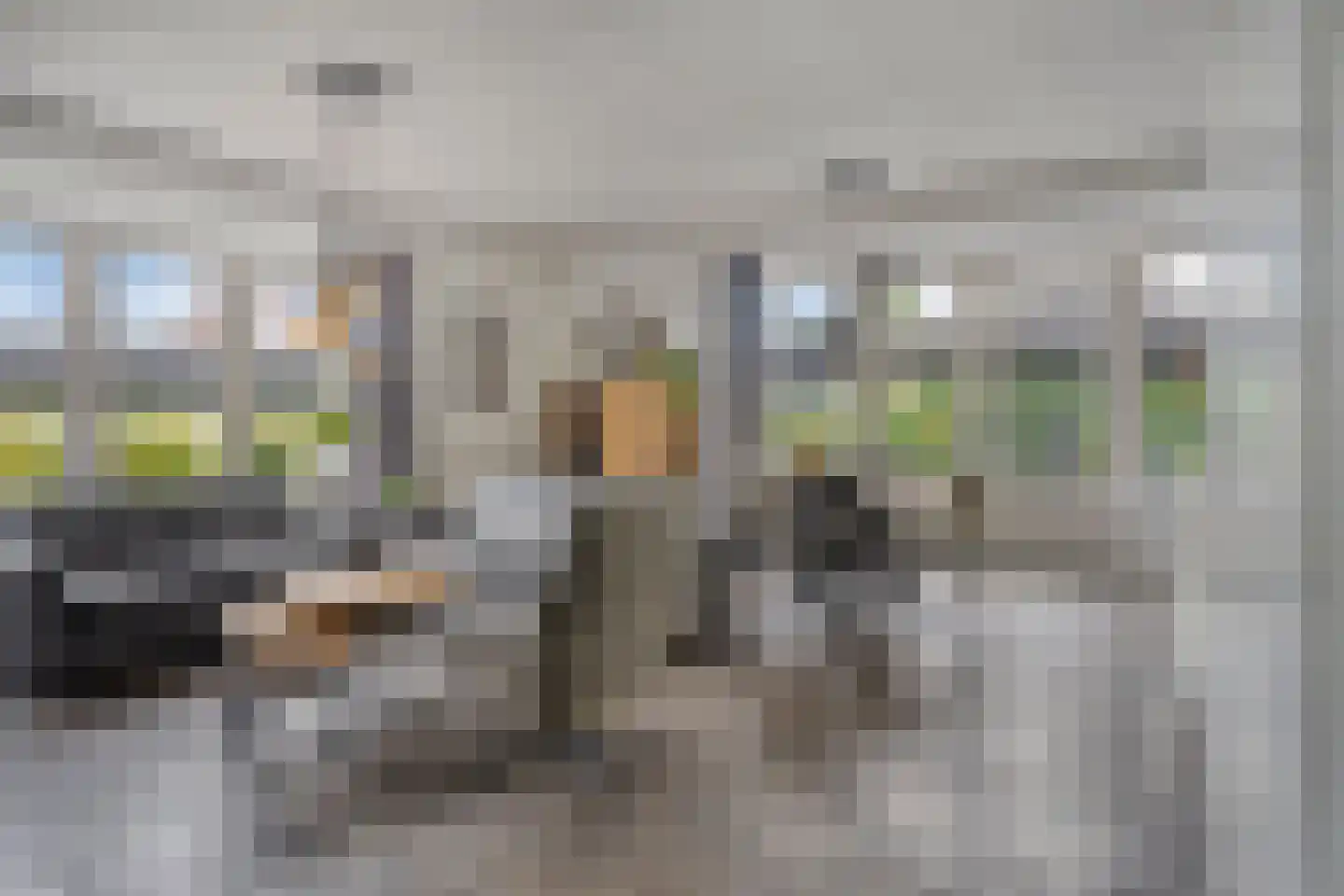 Korenbloem 14 Herveld thumbnail 11