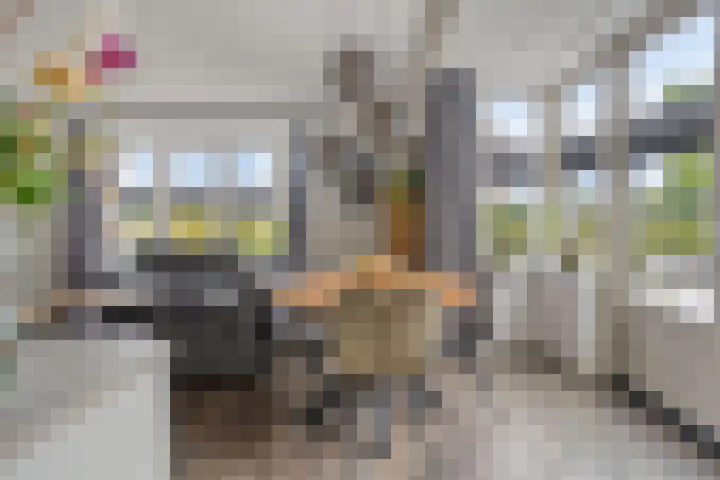 Korenbloem 14 Herveld thumbnail 15