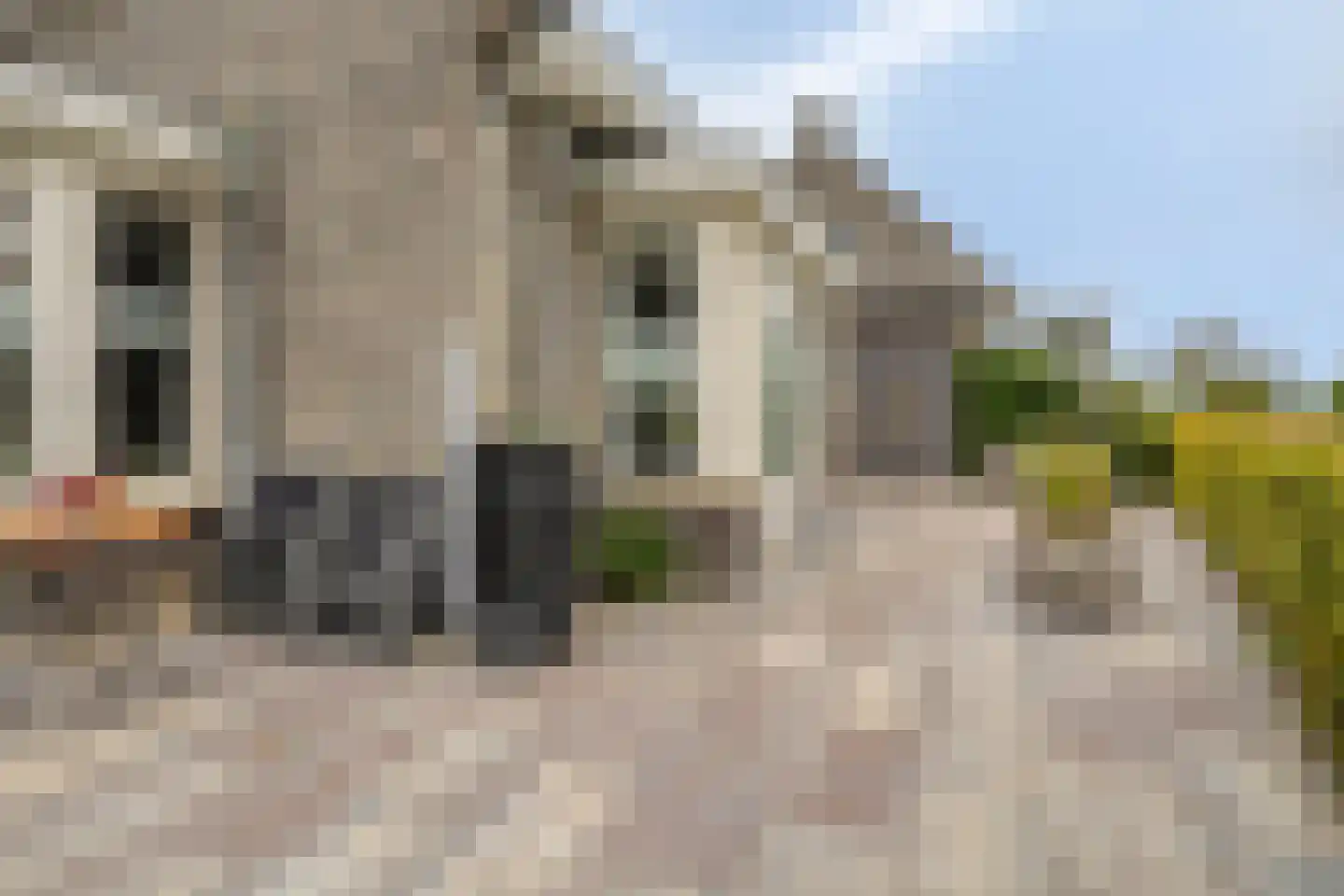 Korenbloem 14 Herveld thumbnail 36