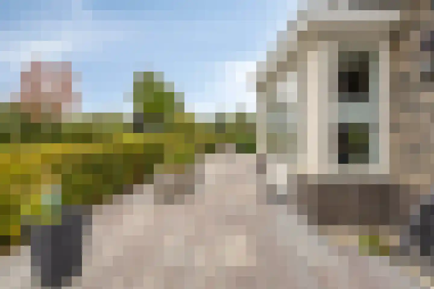 Korenbloem 14 Herveld thumbnail 38