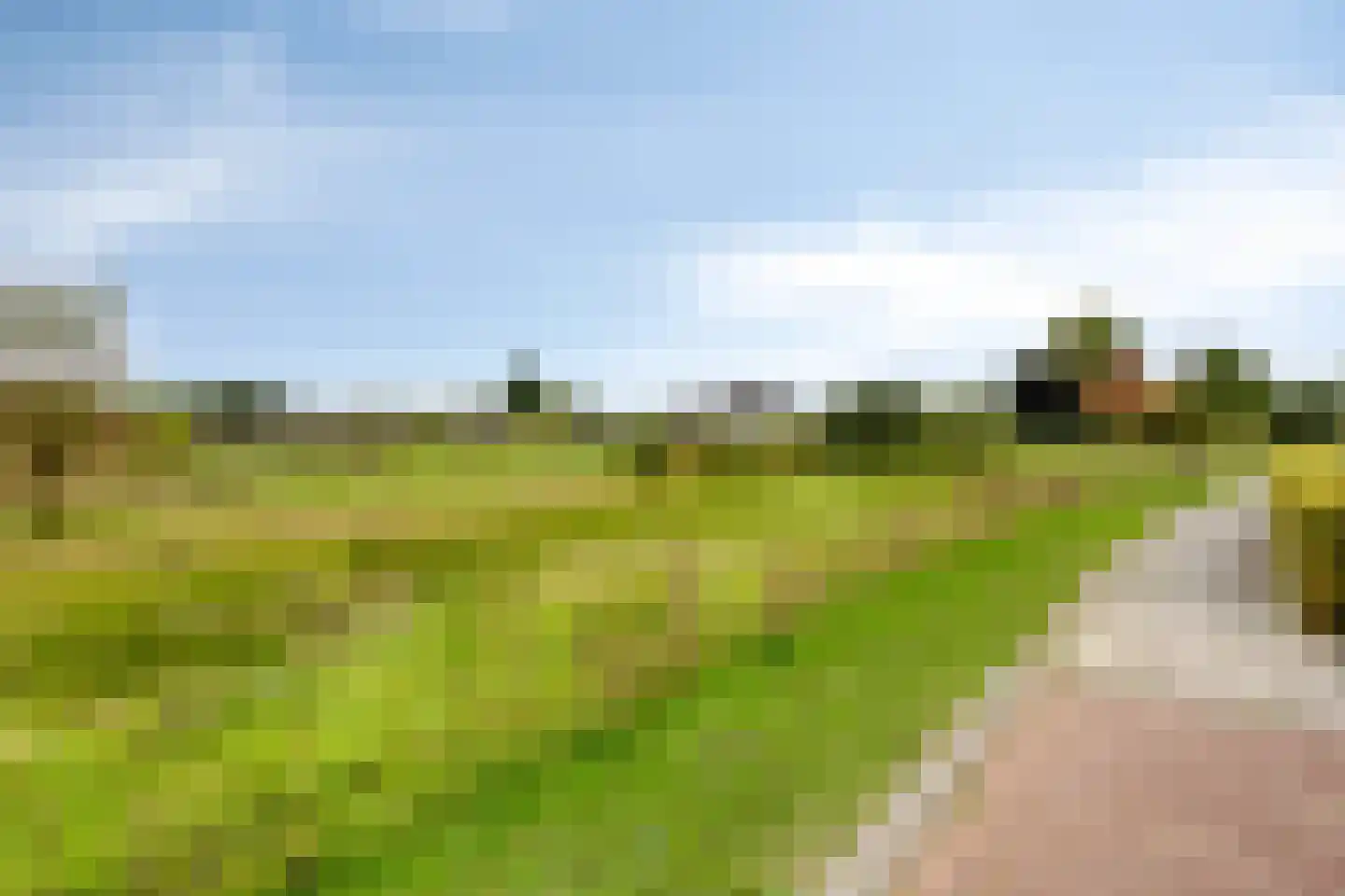 Korenbloem 14 Herveld thumbnail 39