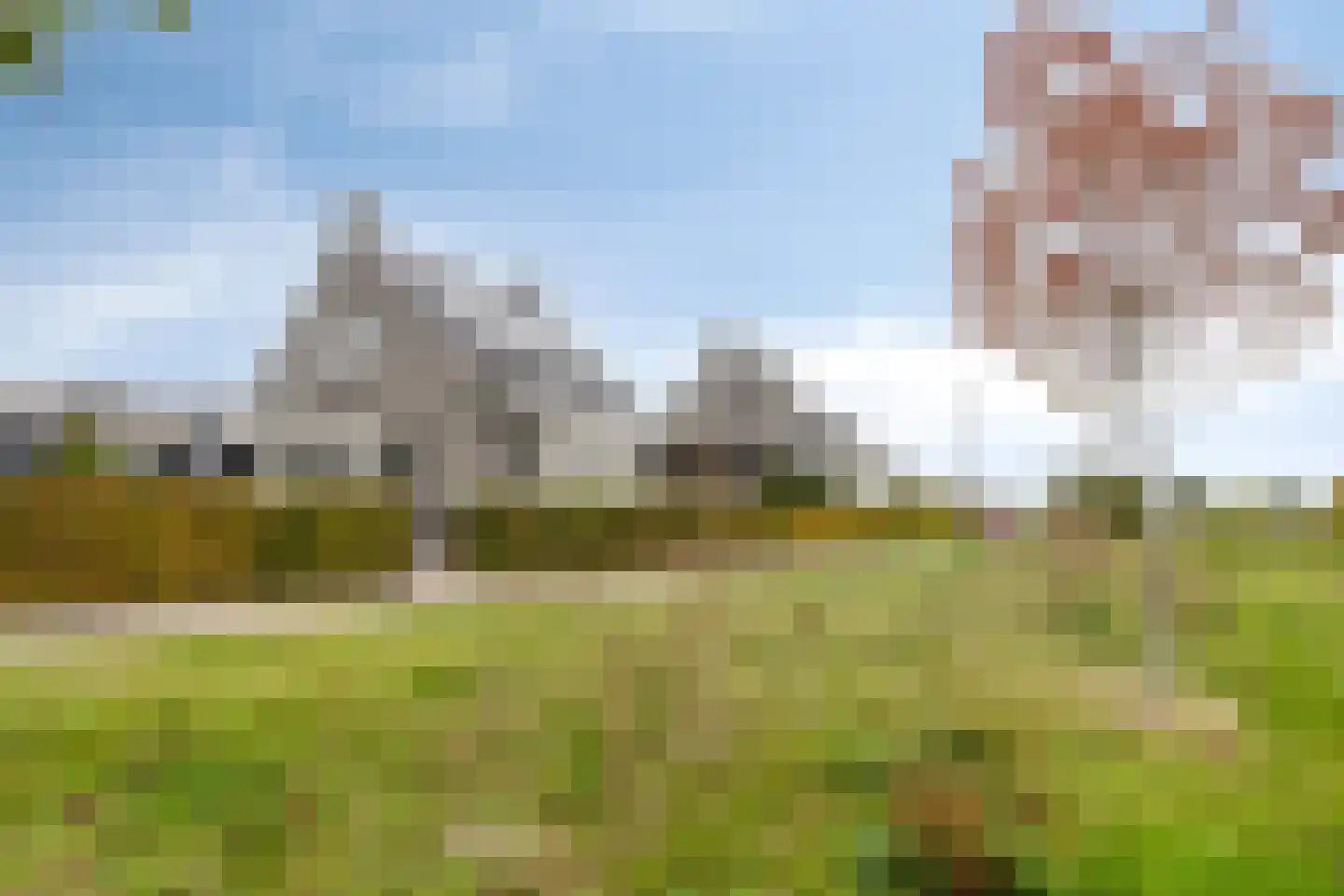Korenbloem 14 Herveld thumbnail 5