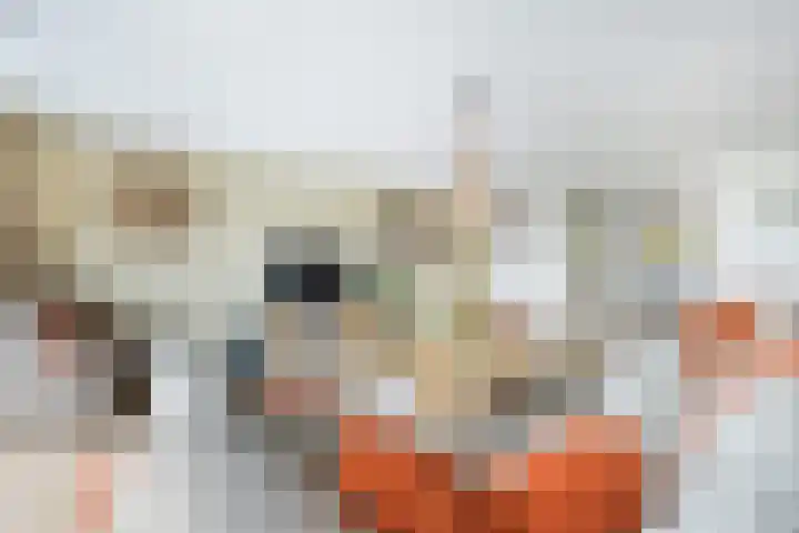 Korenbloem 15 Oudenhoorn thumbnail 16