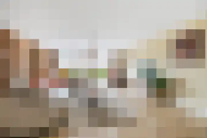 Korenbloem 15 Oudenhoorn thumbnail 17