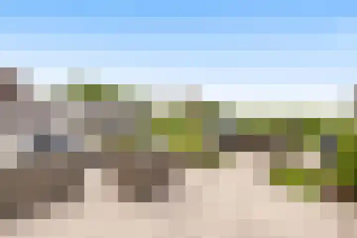 Korenbloem 15 Oudenhoorn thumbnail 22