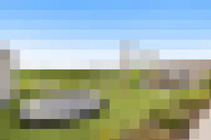 Korenbloem 15 Oudenhoorn thumbnail 27