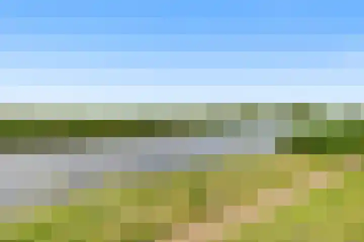 Korenbloem 15 Oudenhoorn thumbnail 28