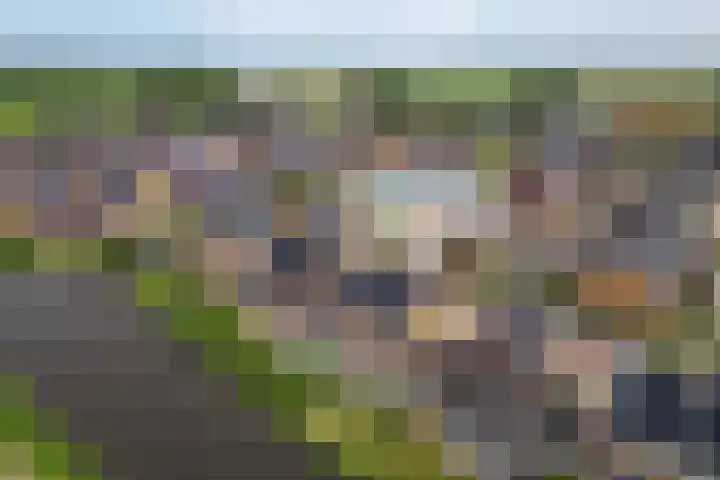 Korenbloem 15 Oudenhoorn thumbnail 29