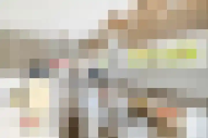 Korenbloem 15 Oudenhoorn thumbnail 31