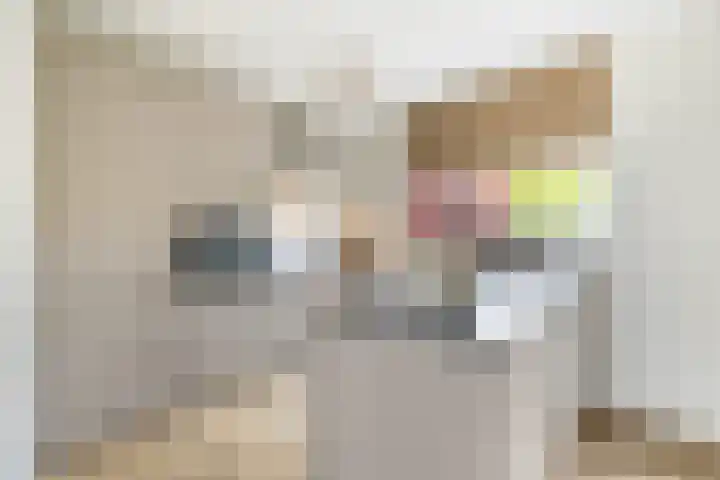 Korenbloem 15 Oudenhoorn thumbnail 33