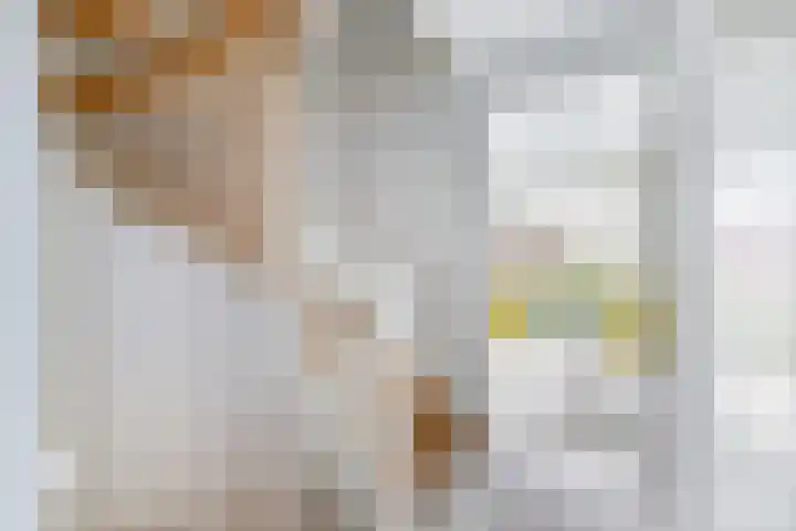 Korenbloem 15 Oudenhoorn thumbnail 37