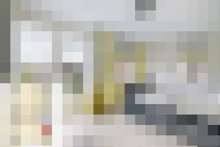 Korenbloem 15 Oudenhoorn thumbnail 38