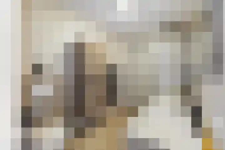 Korenbloem 15 Oudenhoorn thumbnail 4