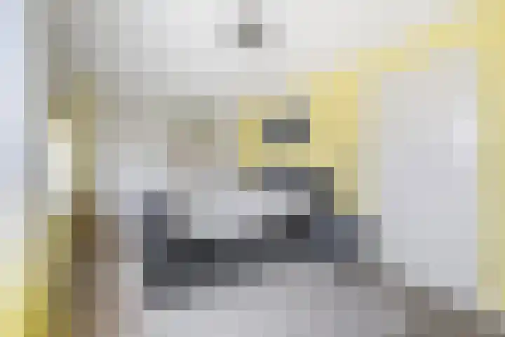 Korenbloem 15 Oudenhoorn thumbnail 40