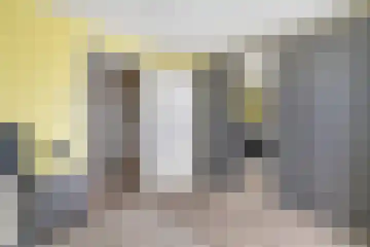 Korenbloem 15 Oudenhoorn thumbnail 41