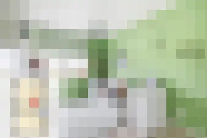 Korenbloem 15 Oudenhoorn thumbnail 43