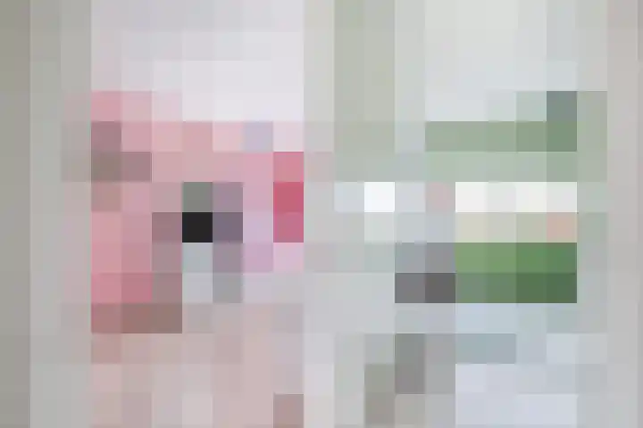 Korenbloem 15 Oudenhoorn thumbnail 45